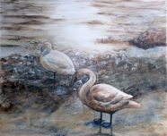 Nr. 508 Schw&auml;ne am Bodensee, Aquarell a. Leinwand, Format: 120 x 100 cm, ACHTUNG!!! Gesonderte Versandbedingungen