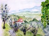 Nr. 217 Toskana: Blick &uuml;bers Land, unverk&auml;uflich