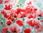 Nr. 274 Mohn, verkauft