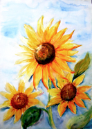Nr. 279 Sonnenblumen (AK), Format: 30 x 40 cm, Preis o. Rahmen: 50&euro;